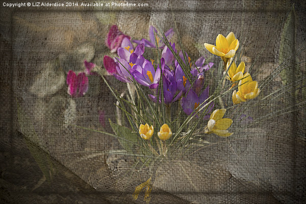 Springtime Flowers Picture Board by LIZ Alderdice