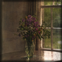 Buy canvas prints of Vase with Flowers by LIZ Alderdice