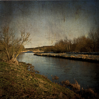 Buy canvas prints of The River Ythan by LIZ Alderdice