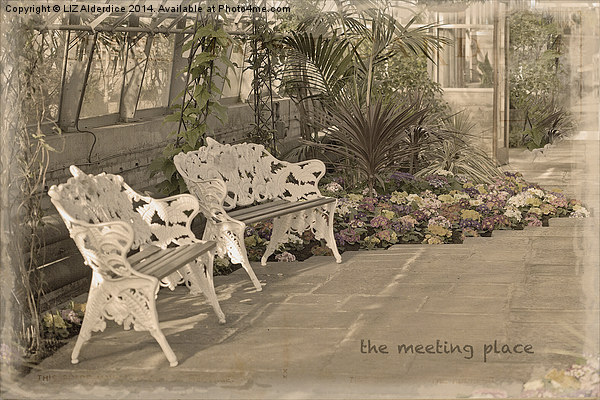 The Meeting Place Picture Board by LIZ Alderdice
