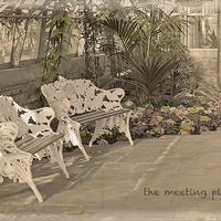 Buy canvas prints of The Meeting Place by LIZ Alderdice
