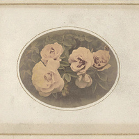 Buy canvas prints of Vintage Roses by LIZ Alderdice