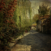 Buy canvas prints of  Old Turkish Street by LIZ Alderdice