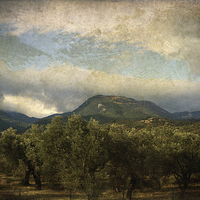 Buy canvas prints of  Distant Hills by LIZ Alderdice