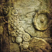 Buy canvas prints of Ancient Stone Carving  by LIZ Alderdice