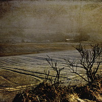 Buy canvas prints of Over The Fields  by LIZ Alderdice