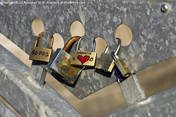  Love Locks 2 Picture Board by LIZ Alderdice