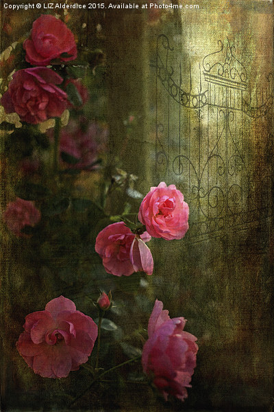  Gothic Romance Picture Board by LIZ Alderdice