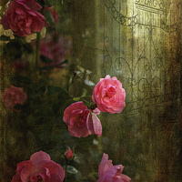 Buy canvas prints of  Gothic Romance by LIZ Alderdice