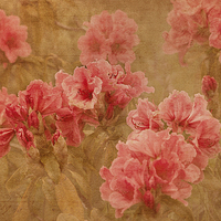 Buy canvas prints of  Vintage Floral Beauty by LIZ Alderdice