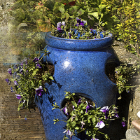 Buy canvas prints of The Enchanting Blue Strawberry Pot by LIZ Alderdice