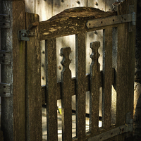 Buy canvas prints of  Wooden Gate by LIZ Alderdice