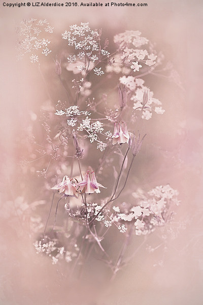  Bouquet in Pastel Pink Picture Board by LIZ Alderdice