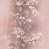 Buy canvas prints of  Bouquet in Pastel Pink by LIZ Alderdice