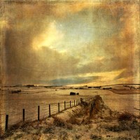 Buy canvas prints of Winter in the Shire by LIZ Alderdice