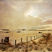 Buy canvas prints of Winter in the Shire (2) by LIZ Alderdice