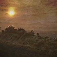Buy canvas prints of Sunrise  by LIZ Alderdice