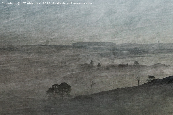Morning Mist in The Shire Picture Board by LIZ Alderdice