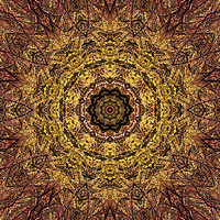 Buy canvas prints of Golden Kaleidoscope  by LIZ Alderdice