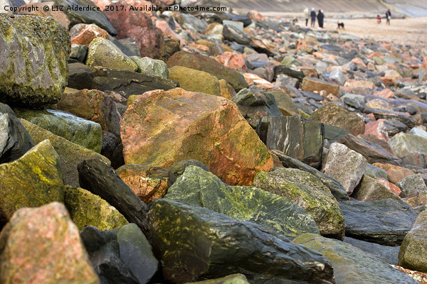 Rocks at The Beach Picture Board by LIZ Alderdice