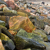 Buy canvas prints of Rocks at The Beach by LIZ Alderdice