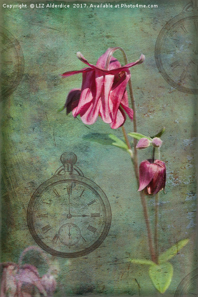 Spring Time Flowers Picture Board by LIZ Alderdice