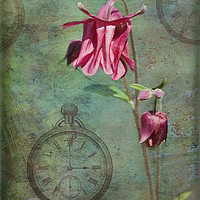 Buy canvas prints of Spring Time Flowers by LIZ Alderdice