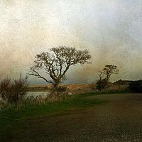 Buy canvas prints of River View near Newburgh  by LIZ Alderdice