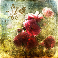 Buy canvas prints of Vintage Roses by LIZ Alderdice