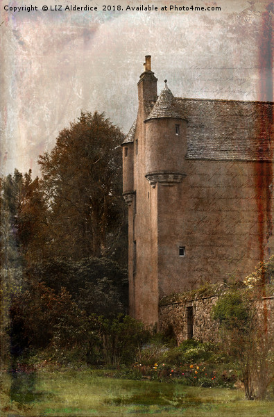 Fairytale Castle Picture Board by LIZ Alderdice
