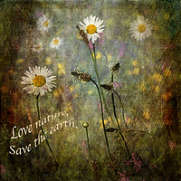 Buy canvas prints of Love Nature - Save the World by LIZ Alderdice