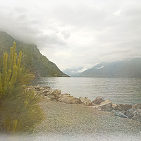Buy canvas prints of Lake Garda by LIZ Alderdice