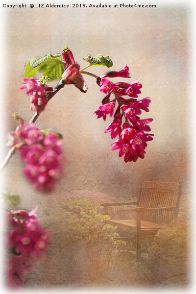 Spring in the Garden Picture Board by LIZ Alderdice