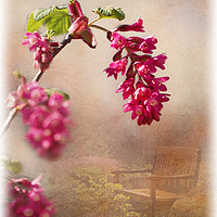 Buy canvas prints of Spring in the Garden by LIZ Alderdice
