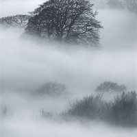 Buy canvas prints of Sherriff Wood by Natures' Canvas: Wall Art  & Prints by Andy Astbury