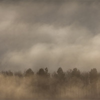 Buy canvas prints of Fog Wall by Natures' Canvas: Wall Art  & Prints by Andy Astbury