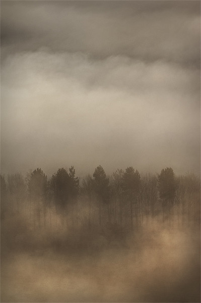 Fog Wall Picture Board by Natures' Canvas: Wall Art  & Prints by Andy Astbury