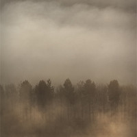 Buy canvas prints of Fog Wall by Natures' Canvas: Wall Art  & Prints by Andy Astbury