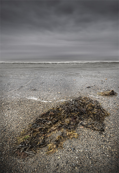 On The Beach Picture Board by Natures' Canvas: Wall Art  & Prints by Andy Astbury
