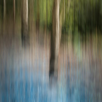 Buy canvas prints of Bluebell Wood by Natures' Canvas: Wall Art  & Prints by Andy Astbury