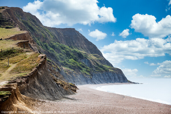 Dorset's Ancient Coastal Pathway Picture Board by David Tyrer