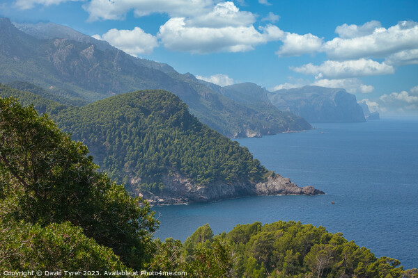 Breathtaking Mallorca's Western Coastline Picture Board by David Tyrer