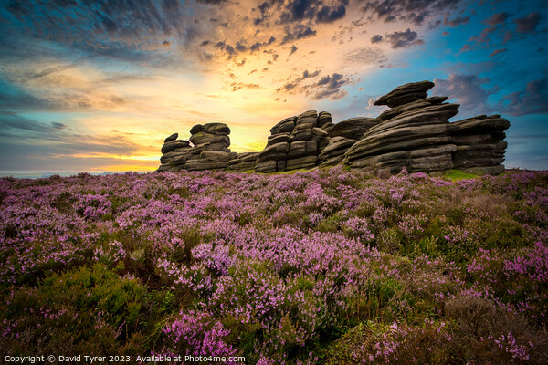 Wheel Stones: A Derbyshire Summer's Panorama Picture Board by David Tyrer
