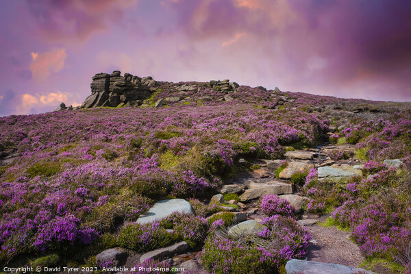 White Tor, Peak District Picture Board by David Tyrer