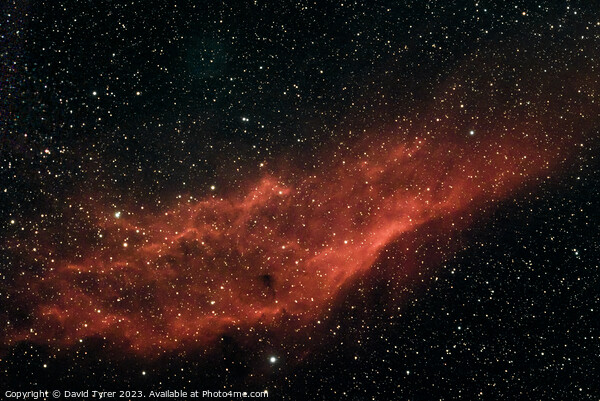 NGC1499 - California Nebula Picture Board by David Tyrer