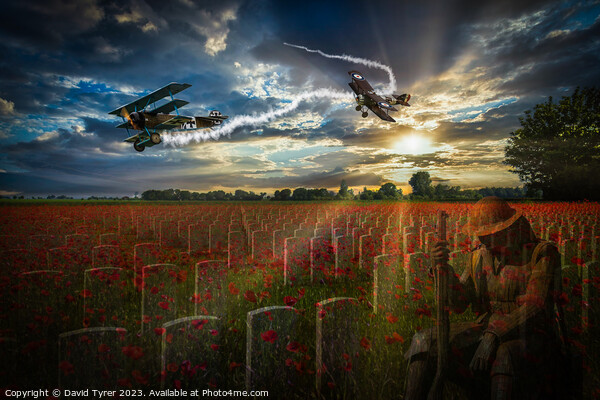 In Flanders Fields the Poppies Blow Picture Board by David Tyrer