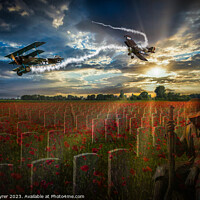 Buy canvas prints of In Flanders Fields the Poppies Blow by David Tyrer