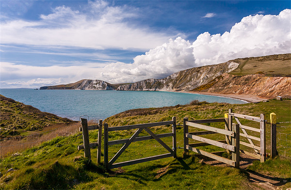 Worbarrow Bay Picture Board by David Tyrer