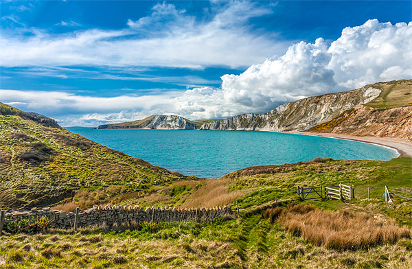 Enchanting Worbarrow Bay Panorama Picture Board by David Tyrer