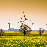 Buy canvas prints of Wind Farm by David Tyrer
